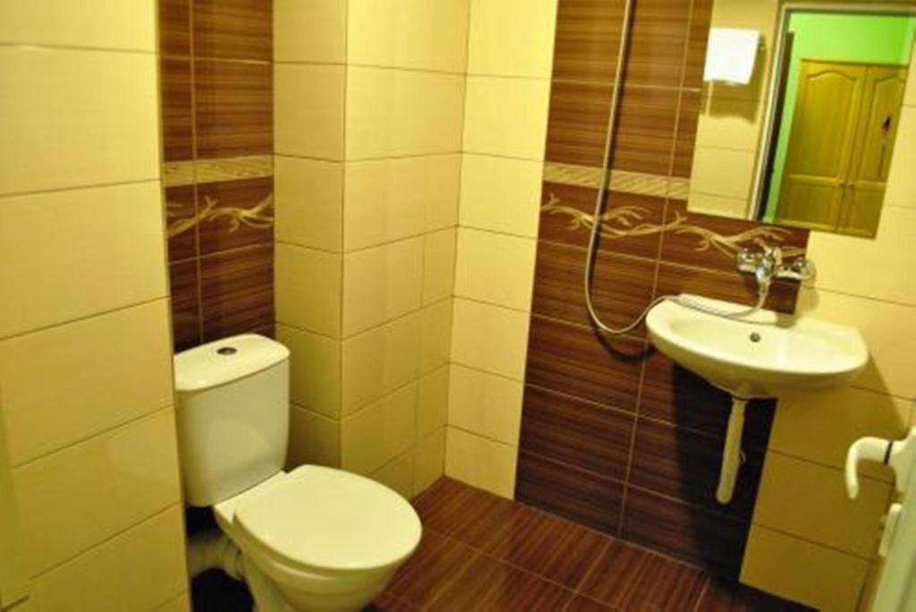 Отель Hotel Svishtov Свиштов-61