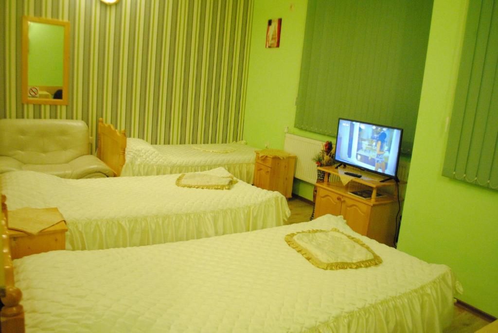 Отель Hotel Svishtov Свиштов-63