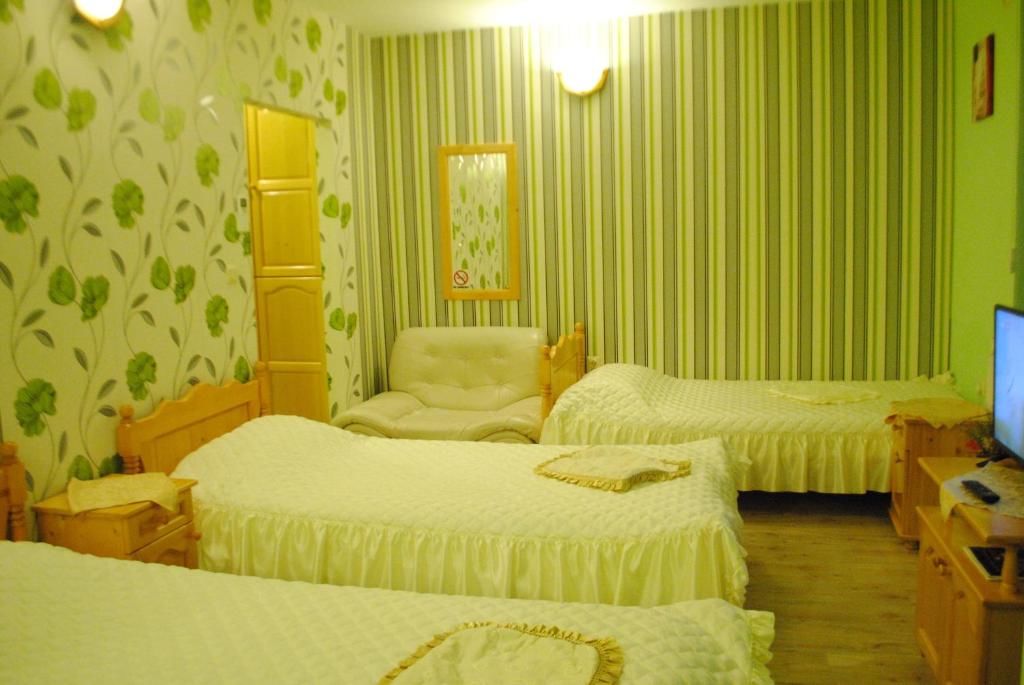 Отель Hotel Svishtov Свиштов-68