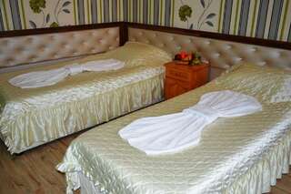 Отель Hotel Svishtov Свиштов Двухместный номер с 1 кроватью или 2 отдельными кроватями-1