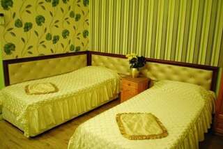 Отель Hotel Svishtov Свиштов Двухместный номер с 1 кроватью или 2 отдельными кроватями-5