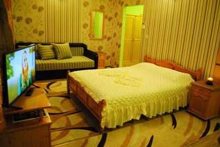 Отель Hotel Svishtov Свиштов Номер-студио с кроватью размера "king-size" и диван-кроватью-3